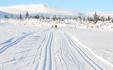 En skitur i snøløypene skaper glede