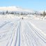 En skitur i snøløypene skaper glede